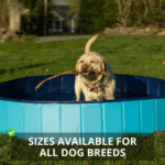 Piscine Extérieure Pliable pour Chien – Image 7