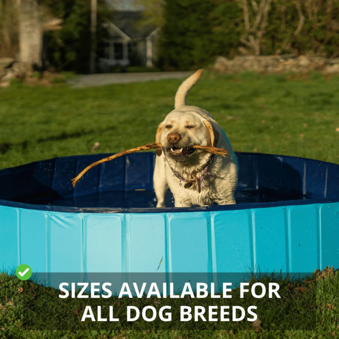 Piscine Extérieure Pliable pour Chien – Image 7