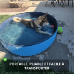 Piscine Pliable pour Chien – Image 4