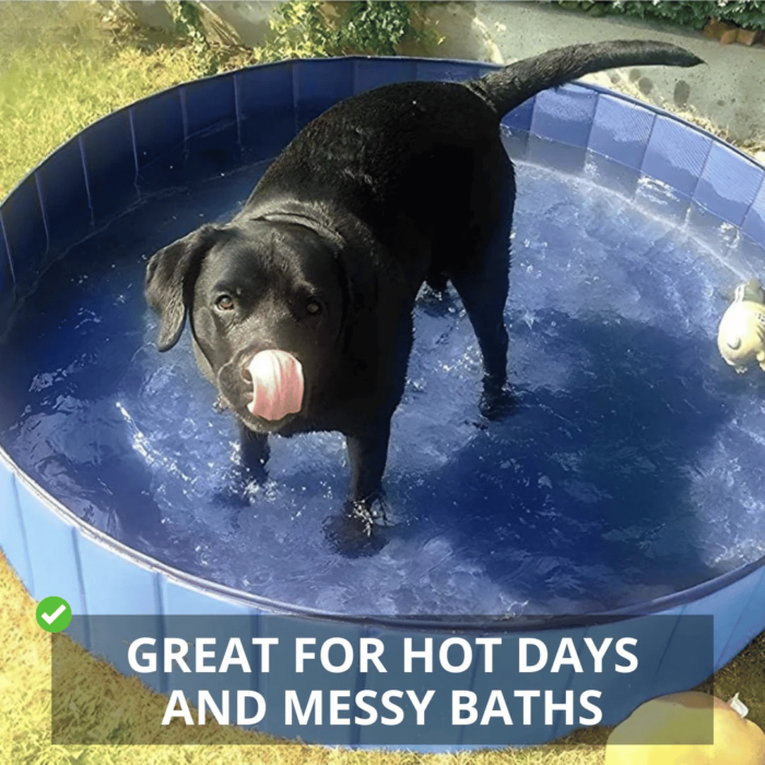 Piscine Extérieure Pliable pour Chien – Image 5