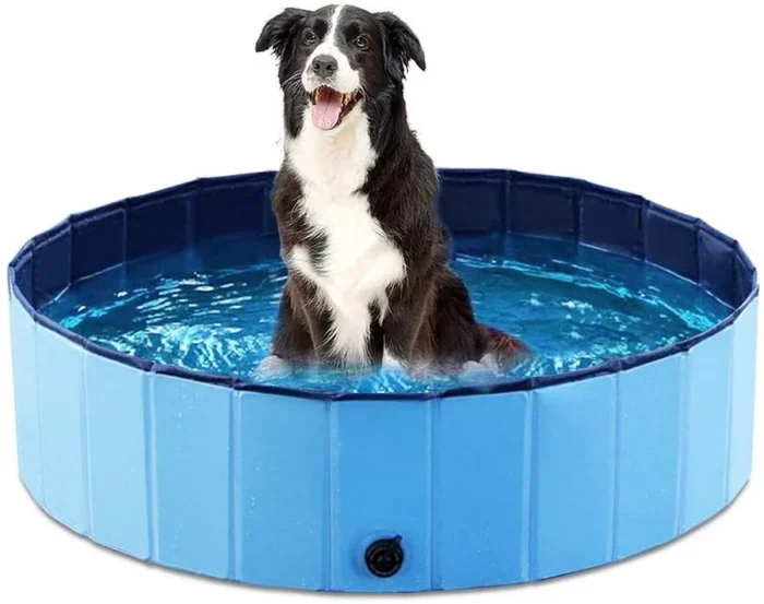 Piscine Extérieure Pliable pour Chien – Image 11