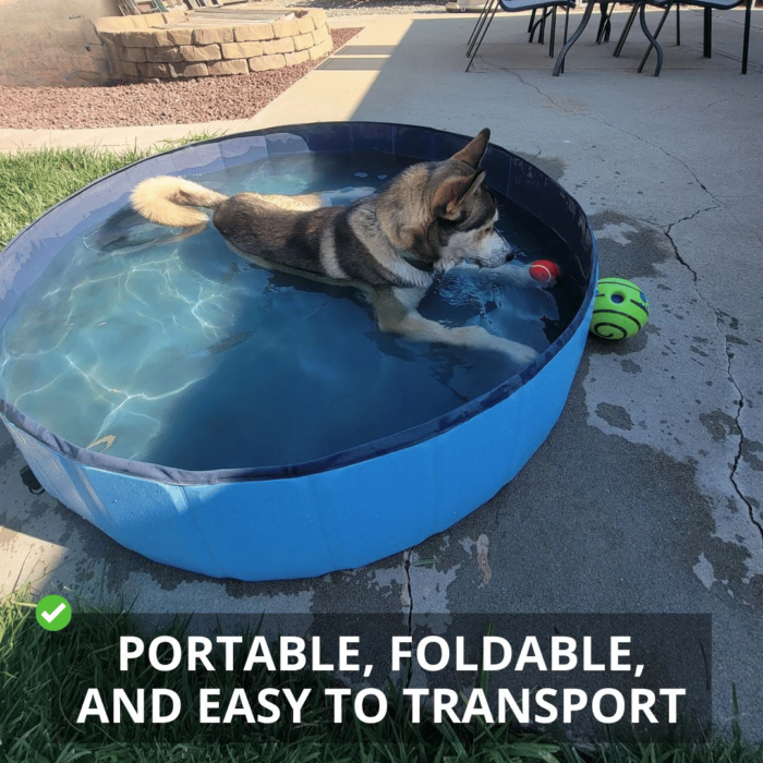 Piscine Extérieure Pliable pour Chien – Image 4
