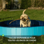 Piscine Pliable pour Chien – Image 7