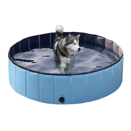 Piscine Extérieure Pliable pour Chien