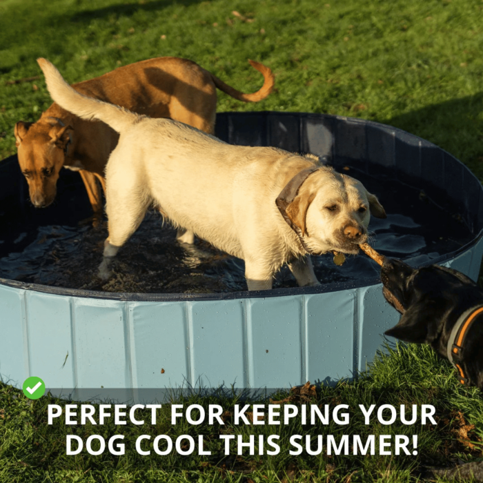 Piscine Extérieure Pliable pour Chien – Image 6