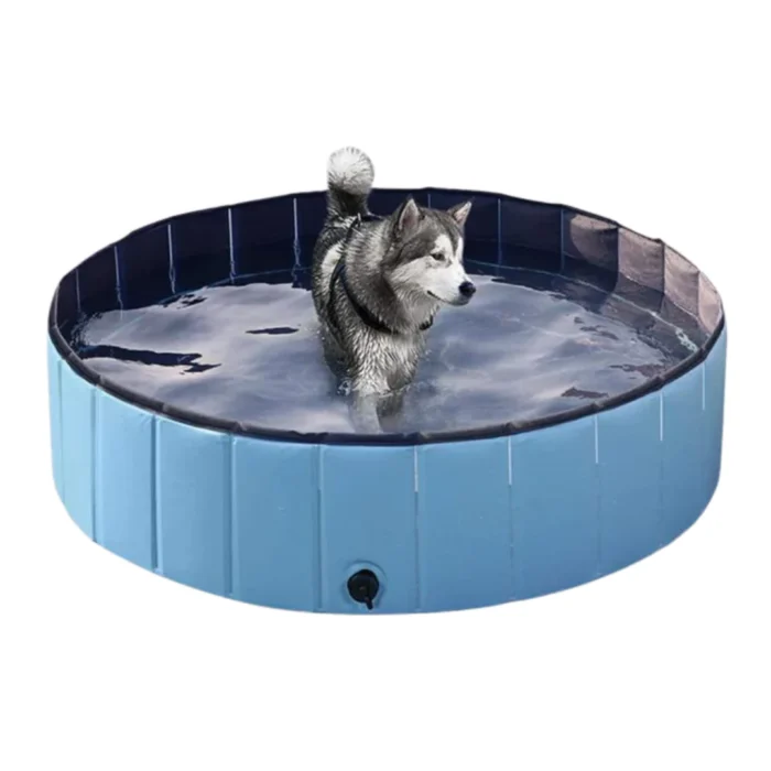 Piscine Extérieure Pliable pour Chien – Image 1