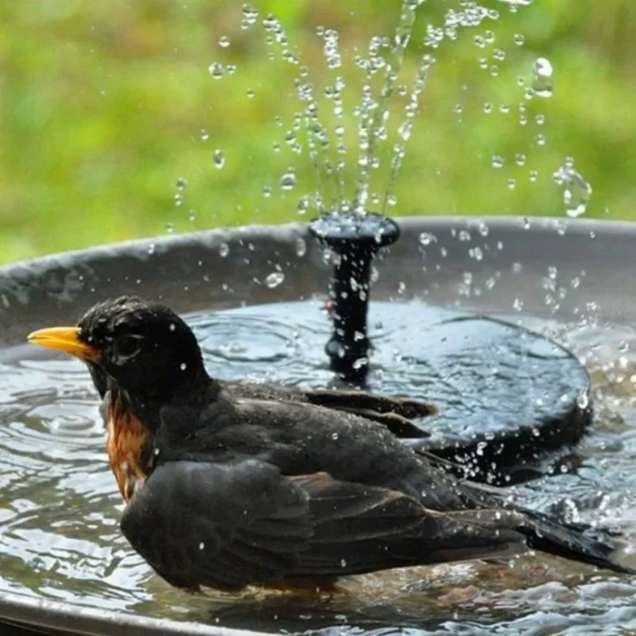 Fontaine Solaire – Image 7