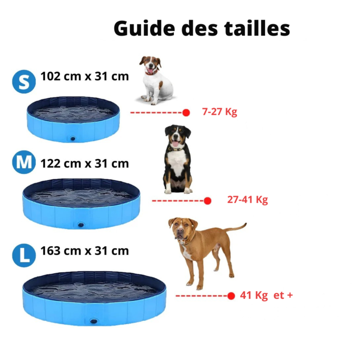 Piscine Pliable pour Chien – Image 2