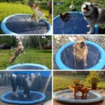 Tapis Splash Antidérapant avec Arroseur pour Enfants et Chiens – Piscine pour Chien et Pataugeoire – Image 6