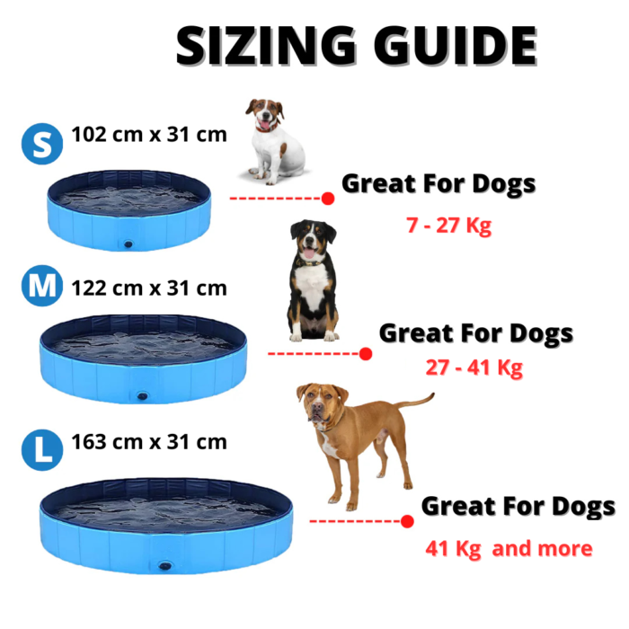 Piscine Extérieure Pliable pour Chien – Image 3