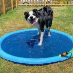 Tapis Splash Antidérapant avec Arroseur pour Enfants et Chiens – Piscine pour Chien et Pataugeoire – Image 5