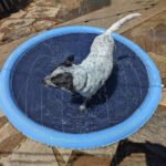Tapis Splash Antidérapant avec Arroseur pour Enfants et Chiens – Piscine pour Chien et Pataugeoire – Image 14